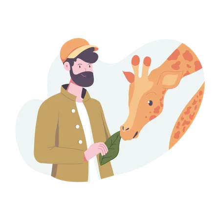 Man giving grass to Giraffe  Illustration