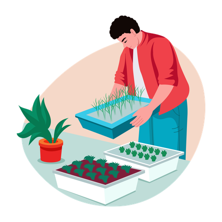 Man Growing micro greens  Illustration