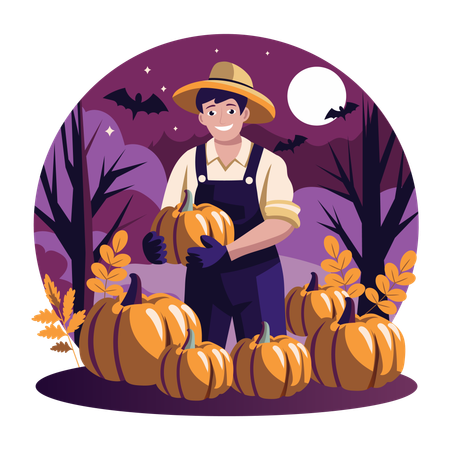 Man Harvest Pumpkins  Illustration