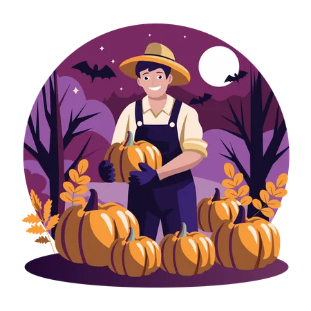 Man Harvest Pumpkins  Illustration