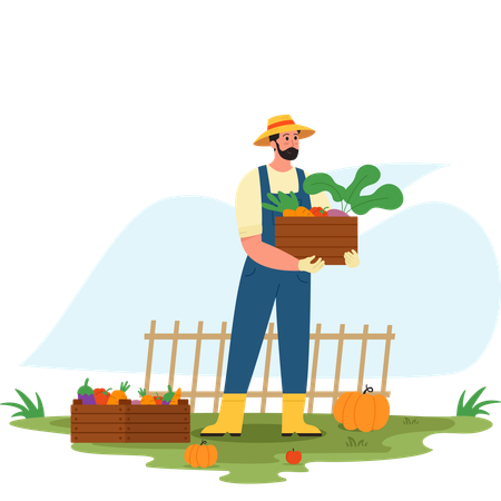 Man Harvest vegetable  Illustration