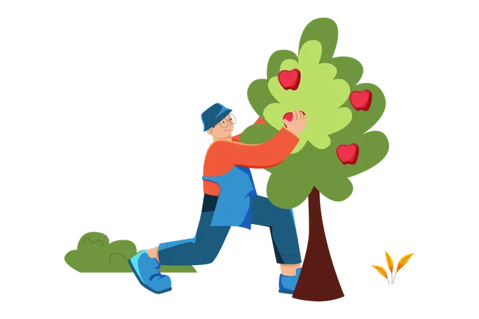 Man harvesting apple  Illustration