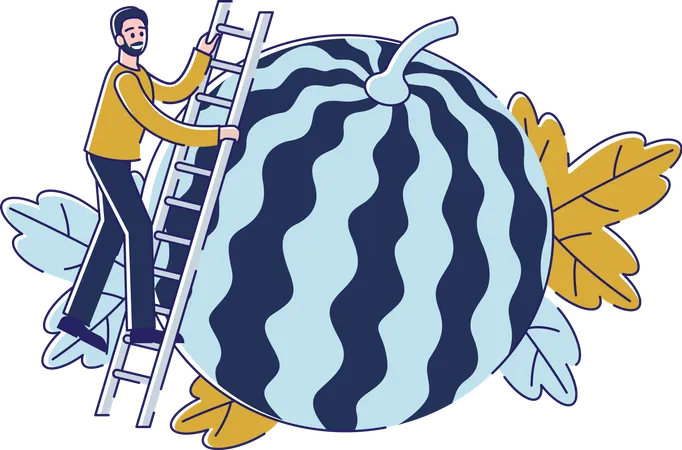 Man harvesting watermelon during summer Illustration