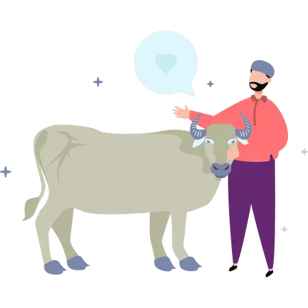 A Man Has A Cow Illustration