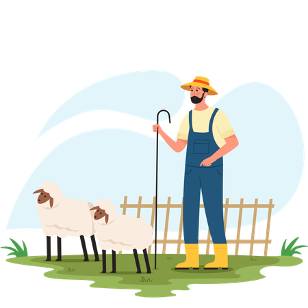 Man Herding Sheep  Illustration