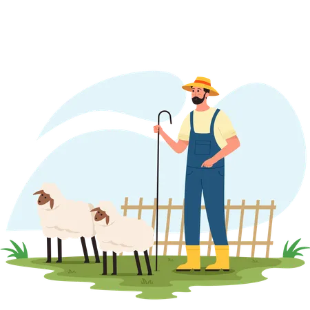 Man Herding Sheep  Illustration