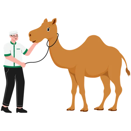 Man Holding Camel  Illustration