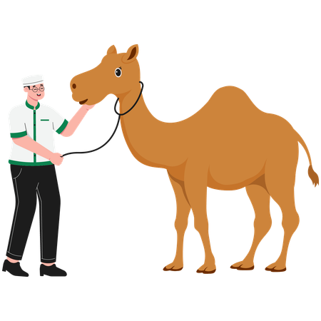 Man Holding Camel  Illustration