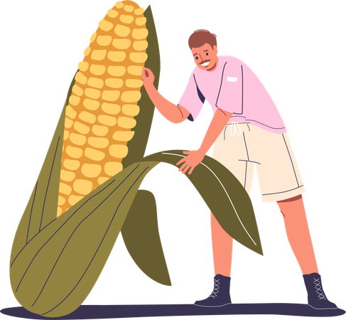 Man Holding Enormous Corn Cob  Illustration