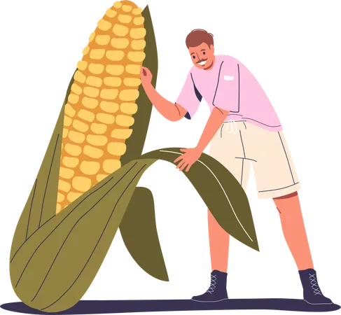 Man Holding Enormous Corn Cob  Illustration