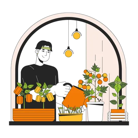 Man Indoor vegetable gardening  Illustration