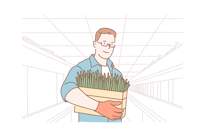 Man is carrying vegetable basket  Illustration