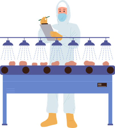 Man is inspecting potatoes for chips making  Illustration