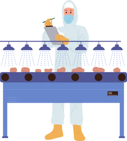 Man Worker Employee Cartoon Character Wearing Protective Uniform And Mask Washing Raw Vegetables Providing Quality Control At Potato Chips Production Line Food Industry Conveyor Vector Illustration Illustration