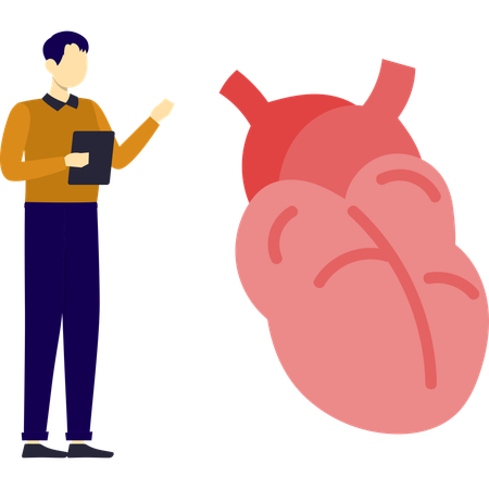 Man is pointing heart vein  Illustration