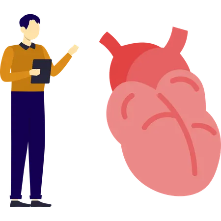 Man is pointing heart vein  Illustration