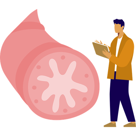 Man is pointing  lungs bronchioles  Illustration