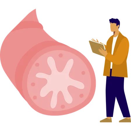 Man is pointing  lungs bronchioles  Illustration