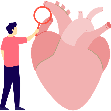Man is searching human heart  Illustration
