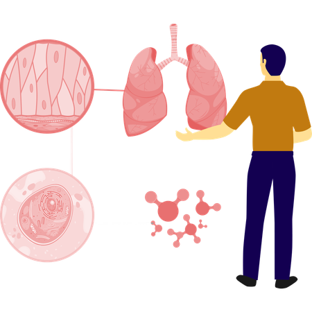 Man is showing lungs cancer inspection  Illustration