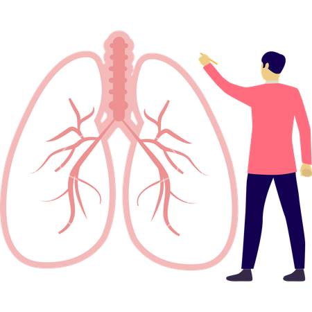 Man is telling about lungs vein  Illustration