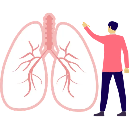 Man is telling about lungs vein  Illustration