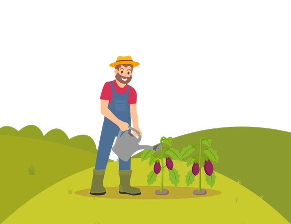 Man is watering plants  Illustration