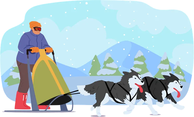Man Joyously Rides A Sled Propelled By A Spirited Team Of Dogs Their Collective Energy Carving Through The Snowy Landscape With Exhilarating Speed And Harmony Cartoon People Vector Illustration Illustration