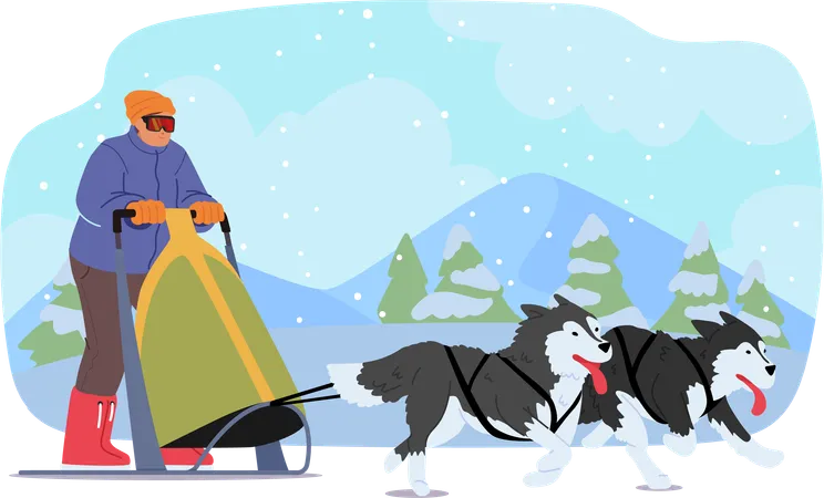 Man Joyously Rides Dog Sled  Illustration