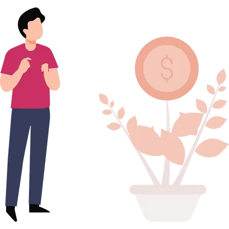 Man looking at dollar plant  Illustration