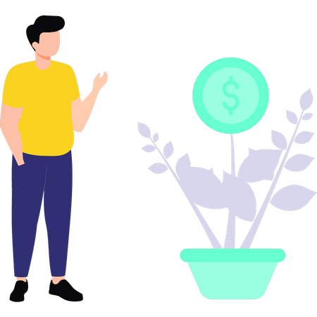 Man looking at dollar plant  Illustration