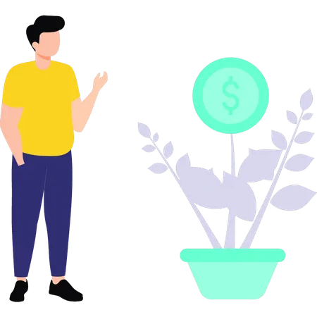 Man looking at dollar plant  Illustration