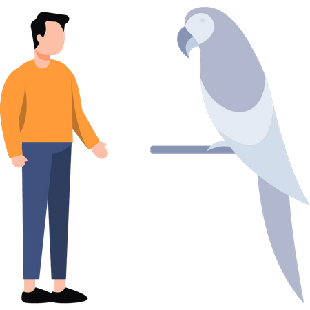 Man looking at parrot  Illustration