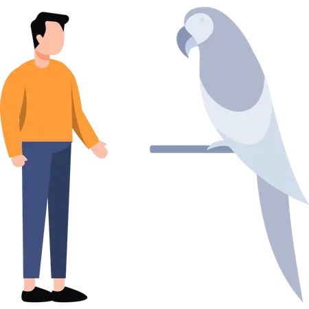 Man looking at parrot  Illustration