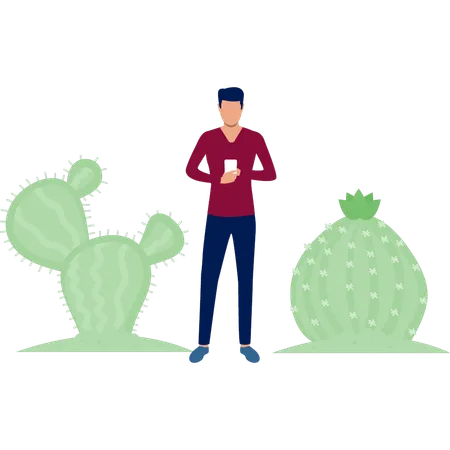 Man looking mobile near cactus plant  Illustration