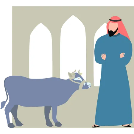 A Man Looks At The Eid Cow Illustration
