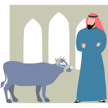 Man looks at Eid cow  Illustration