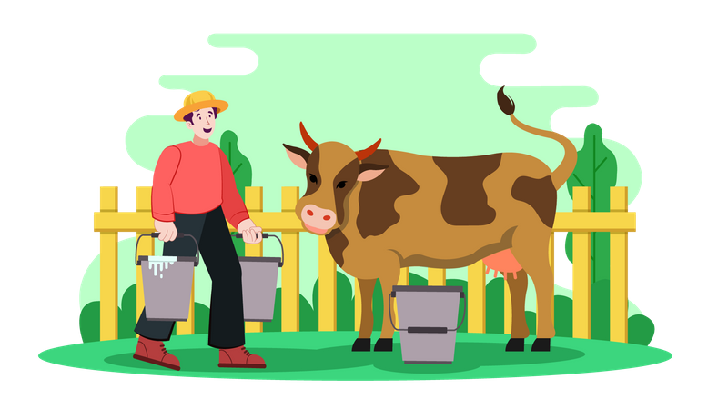 Man Milking Cow  Illustration