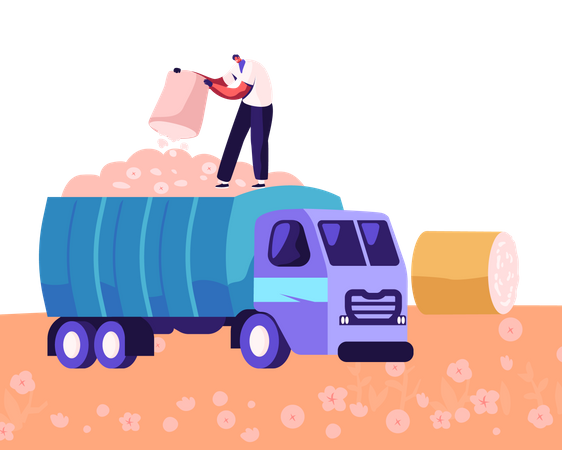 Man Picking Cotton on Field and Put into Truck  Illustration