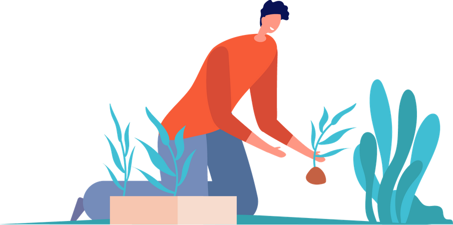 Man planting tree  Illustration