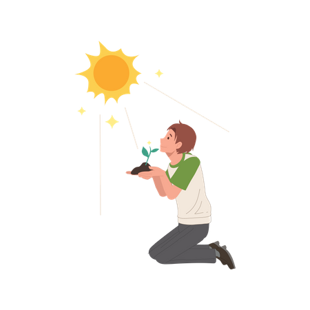 Man planting tree sprout under warm sunray  Illustration