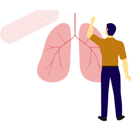 Man pointing at lungs structure  Illustration