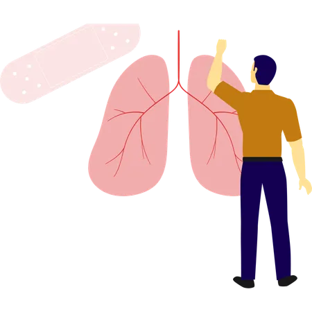 Man pointing at lungs structure  Illustration