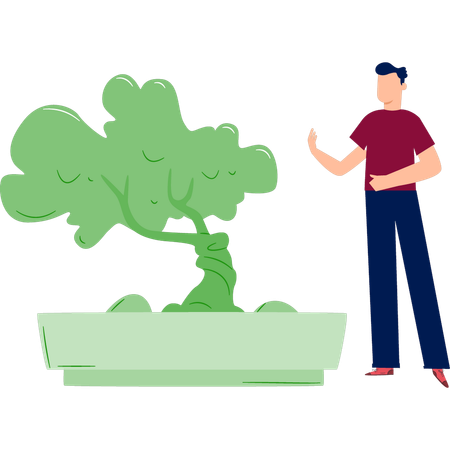 Man pointing green tree in garden  Illustration