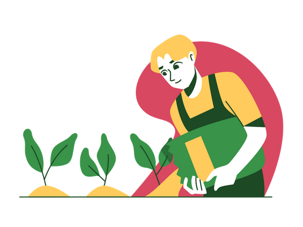 Man pouring plant fertilizer  Illustration