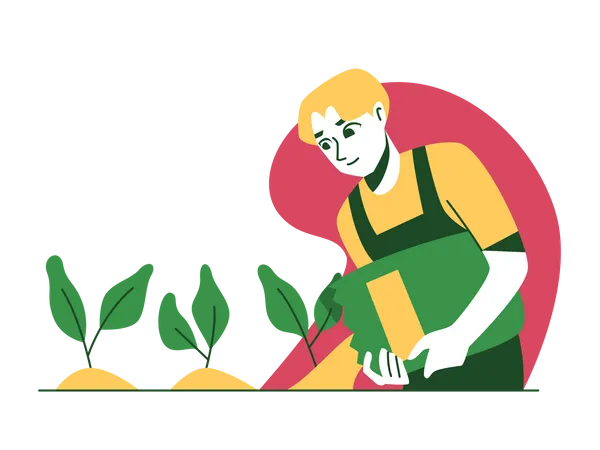 Man pouring plant fertilizer  Illustration