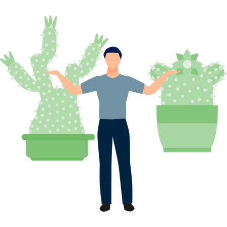 Man presenting cactus trees  Illustration