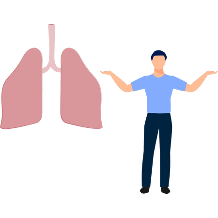 Man  presenting healthy human lungs  Illustration