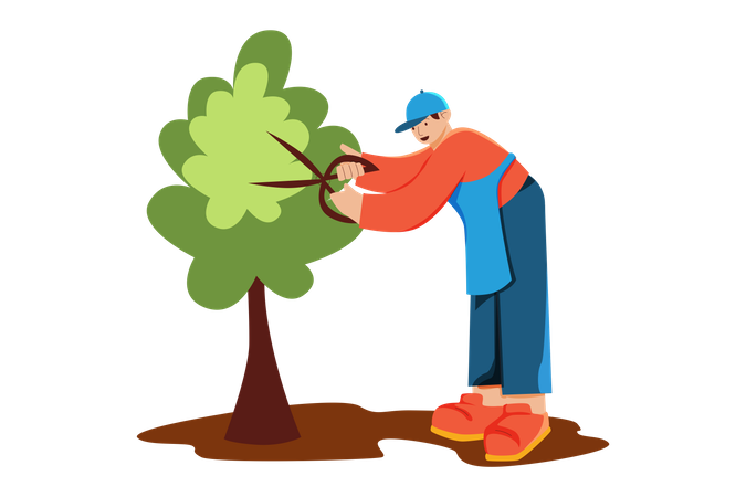 Man Pruning Tree  Illustration