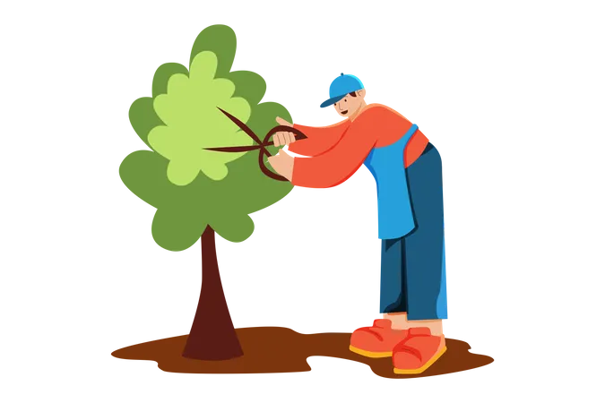 Man Pruning Tree  Illustration